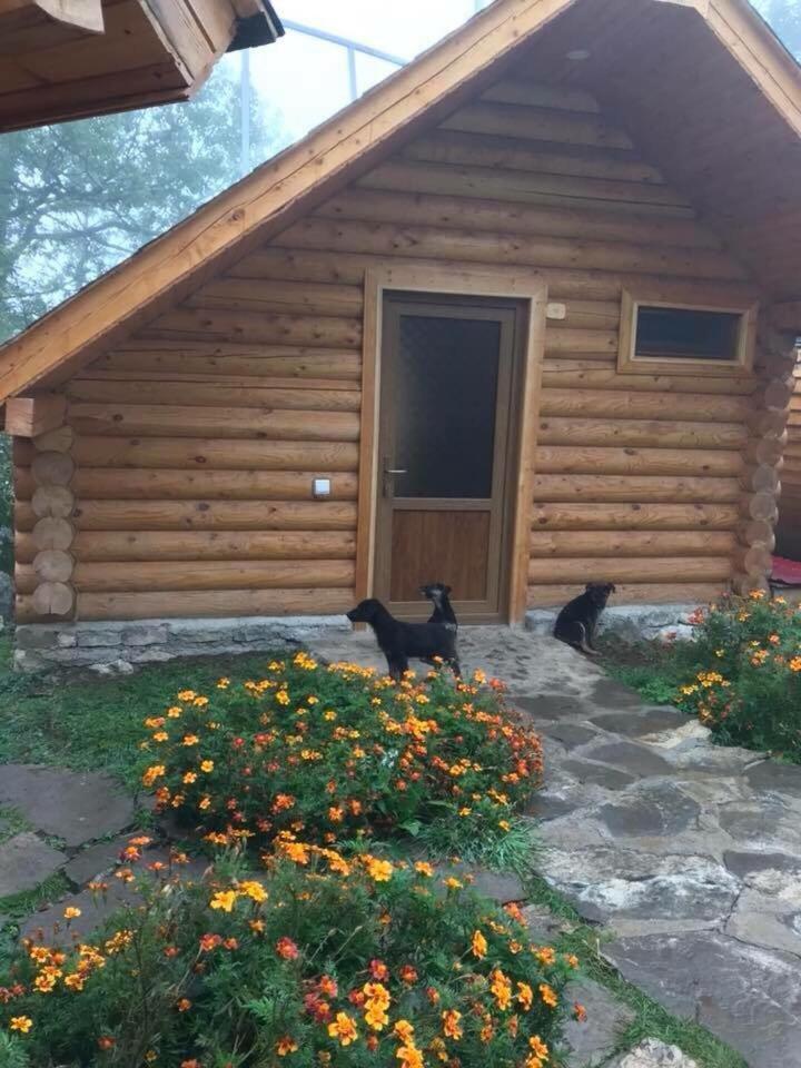 Harsnadzor Eco Resort Halidzor Dış mekan fotoğraf